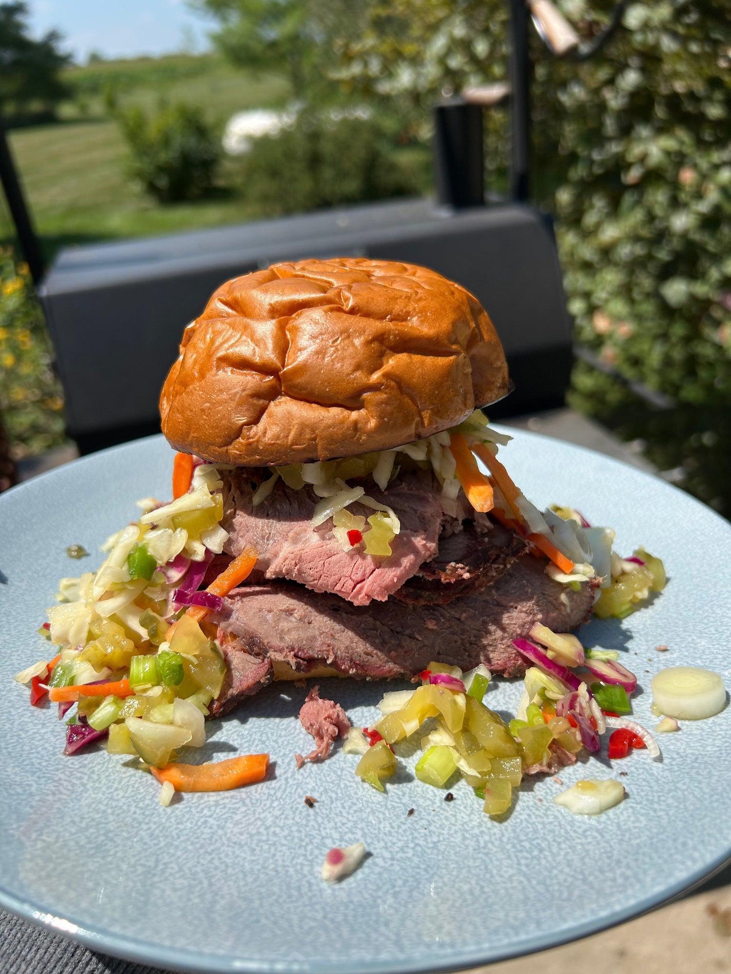 Smoked Beef Sandwich with dill pickle relish